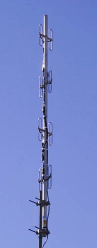 ANT4.jpg (10548 bytes)